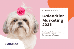 Calendrier marketing Digitaleo 2025